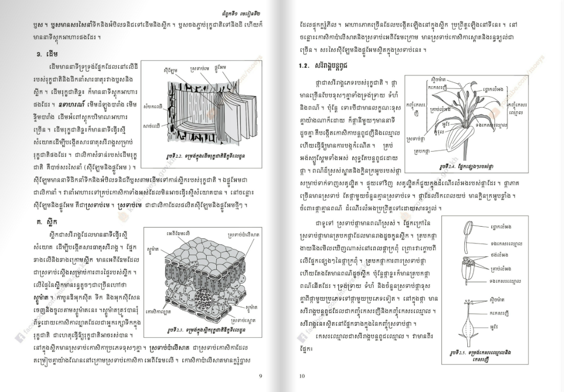 សៀវភៅពុម្ព ជីវវិទ្យា ថ្នាក់ទី១២