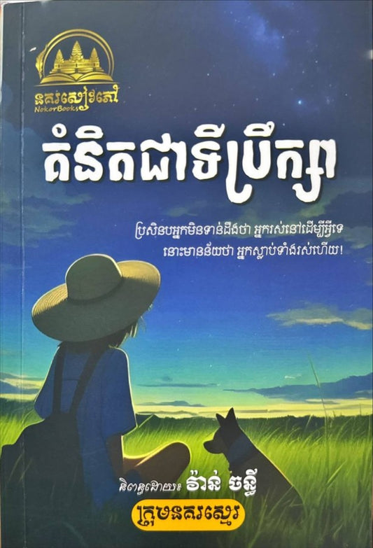 គំនិតជាទីប្រឹក្សា