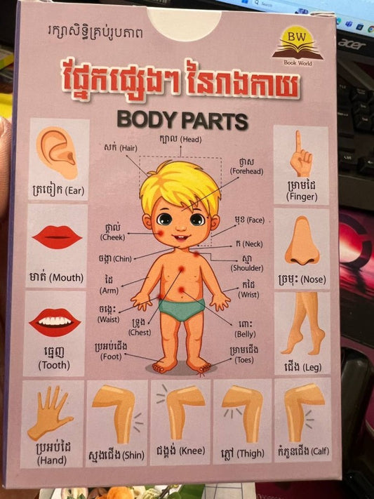 កាត-ផ្នែកផ្សេងៗនៃរាងកាយ
