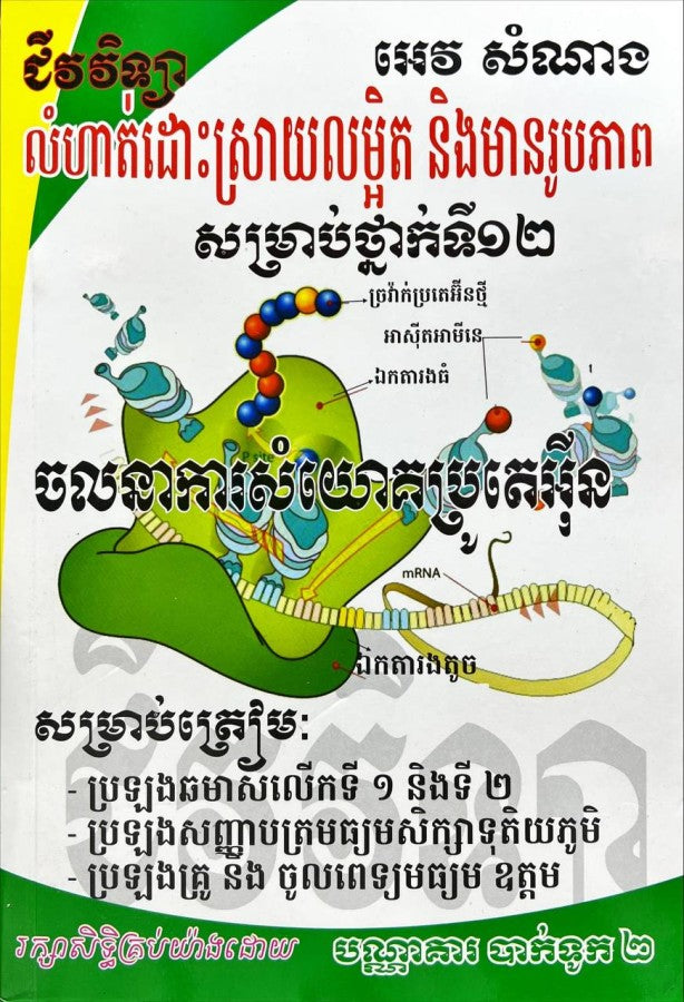 ចលនាសំយោគប្រូតេអុីន-ធំ