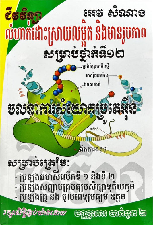 ចលនាសំយោគប្រូតេអុីន-ធំ