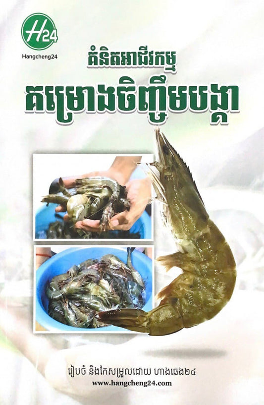 គំនិតអាជីវកម្ម-គម្រោងចិញ្ចឹមបង្គា