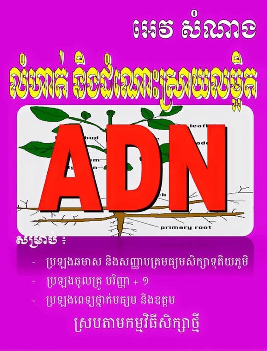 លំហាត់-និង-ដំណោះស្រាយលម្អិត-adn-ធំ