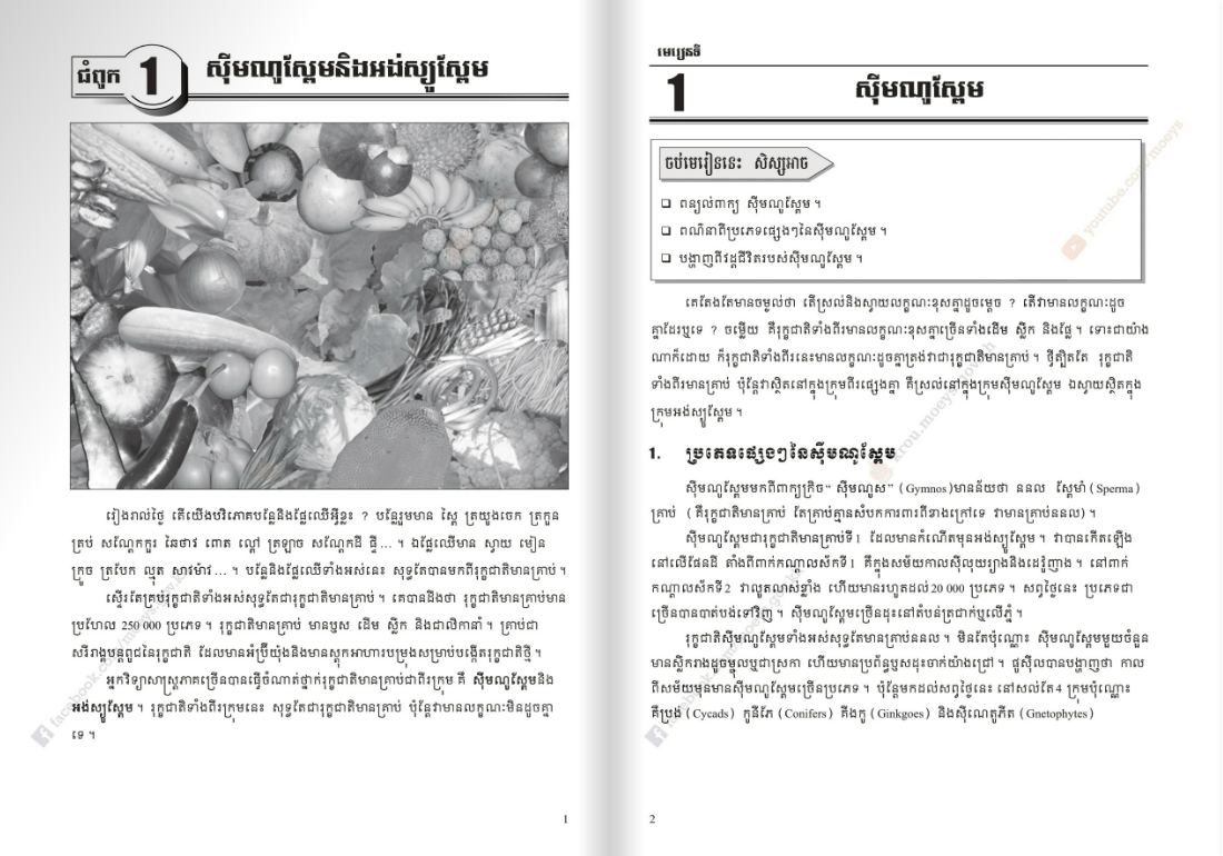 សៀវភៅពុម្ព ជីវវិទ្យា ថ្នាក់ទី១២