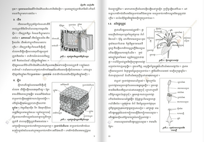 សៀវភៅពុម្ព ជីវវិទ្យា ថ្នាក់ទី១២