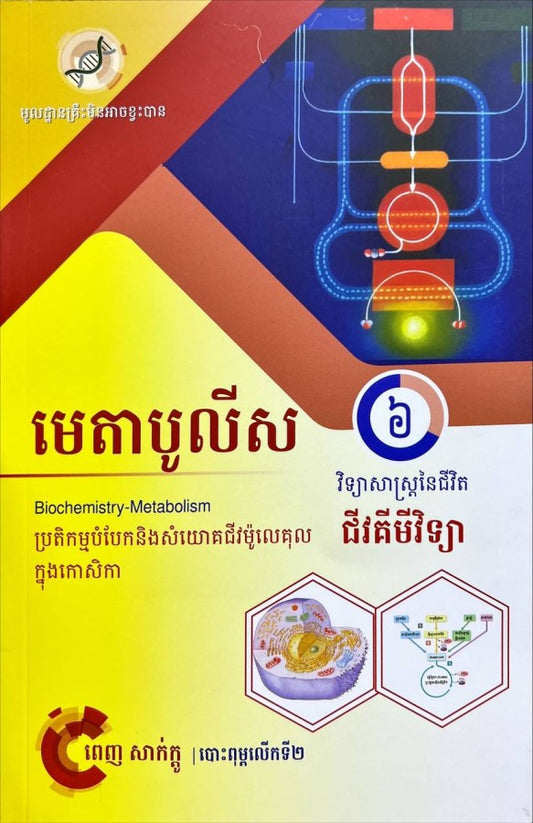 មេតាបូលីស-ភាគ៦