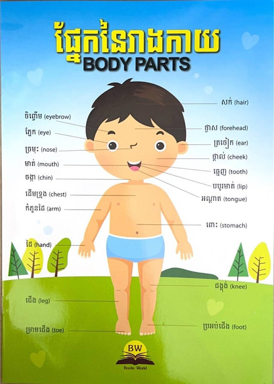 ផ្នែកនៃរាងកាយ