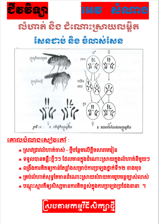 លំហាត់ដោះស្រាយ-សែនជាប់និងចំលាស់សែន