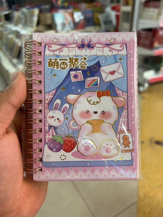 note-book_តុក្តតា-a6-dp-555-28