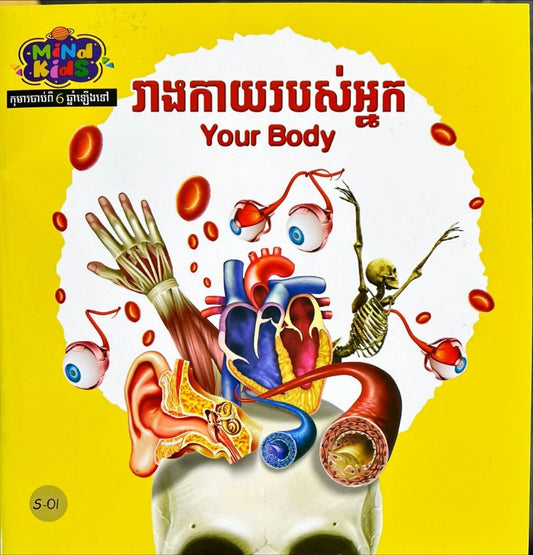 រាងកាយរបស់អ្នក-your-body